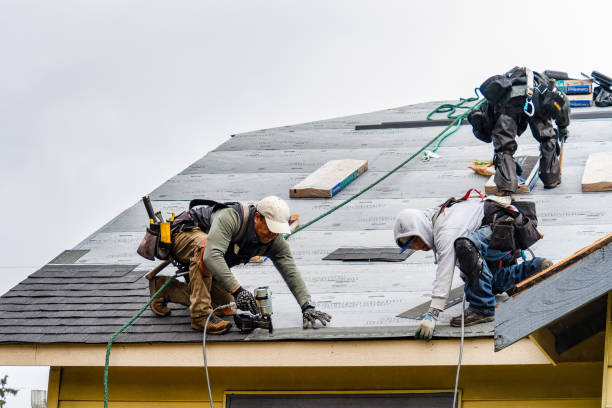 Professional Gutter Installation technician working in Alexander, AR